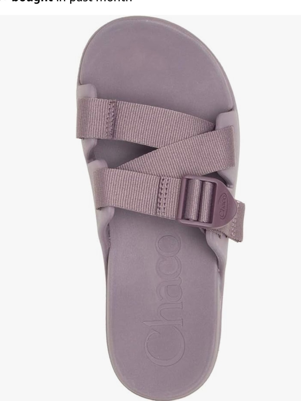 Chaco Chillo’s Slide Sandals in Sparrow